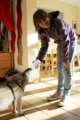 Auch die Tiere mssen versorgt werden